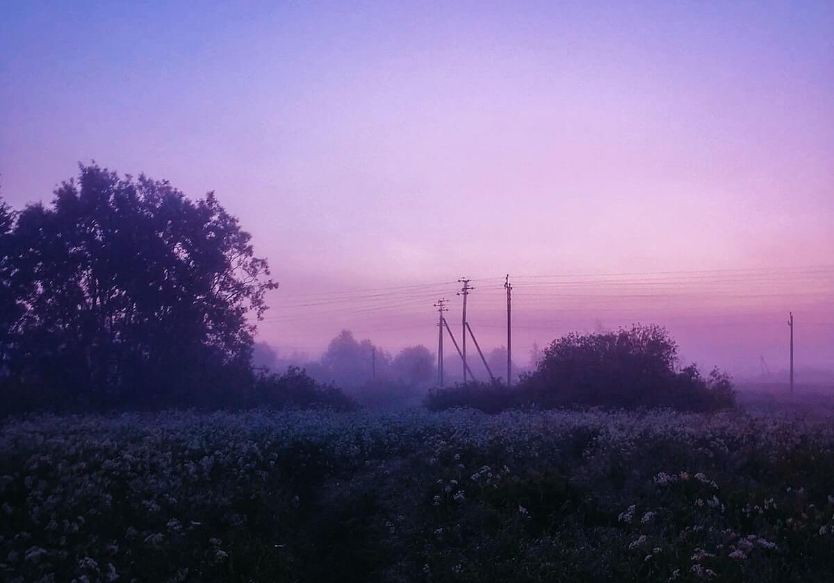 费尔明续约巴萨只差细节，坚称留队首选|巴塞罗那|达尼·奥尔莫|数据|俱乐部|夏休期_新浪体育_新浪新闻